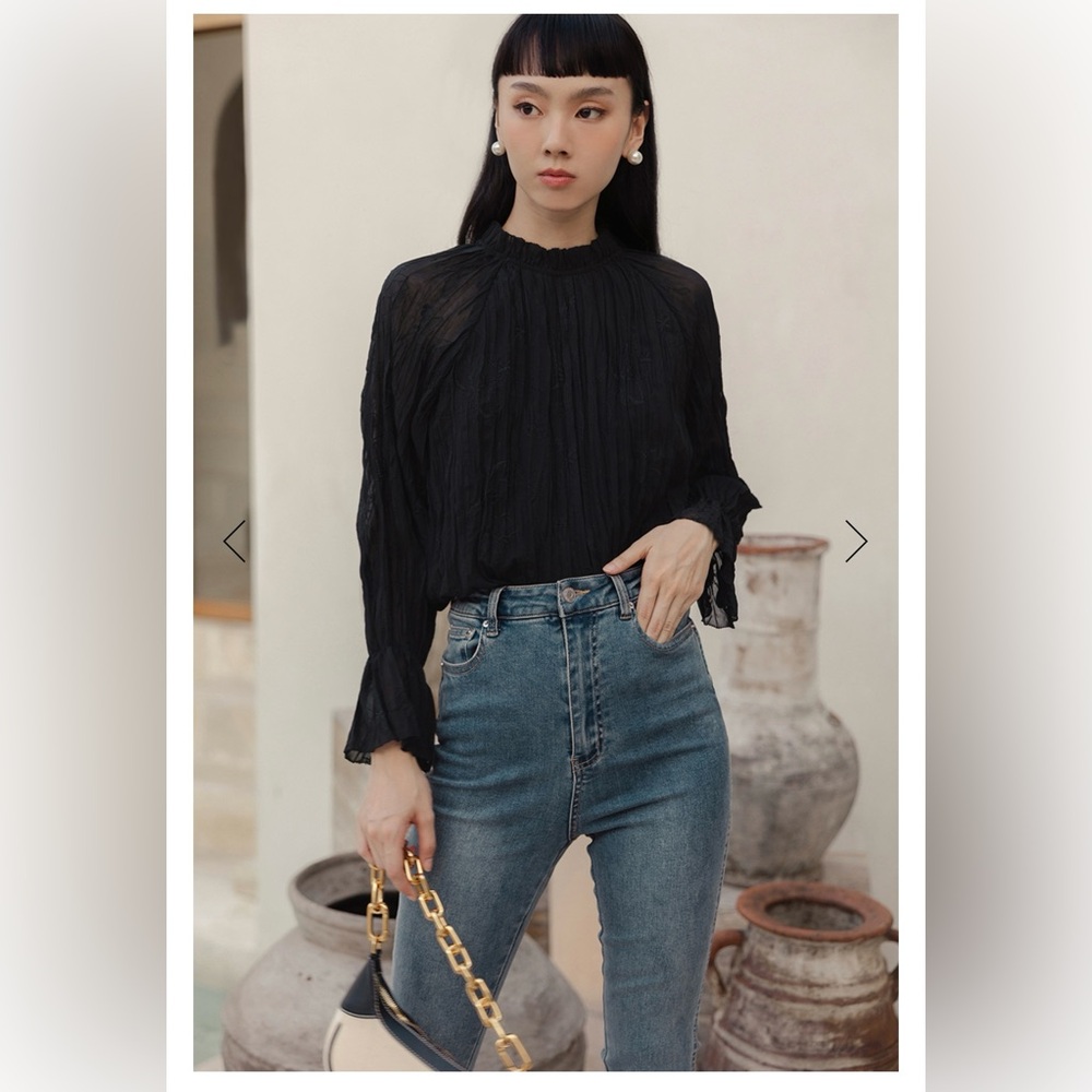 💫 Zara Embroidery Pleated Top - New 💫 - Picture 11 of 14